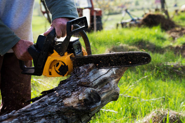 Best Arborist Consultation Services  in Calvert, TX